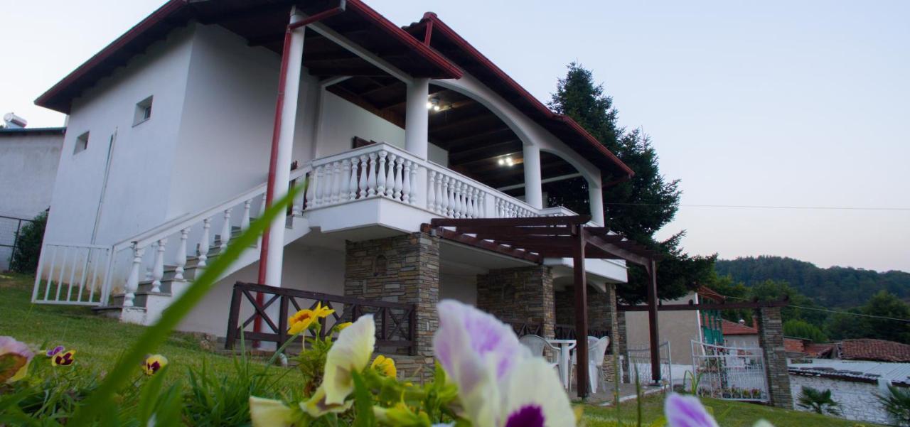 Villa Paradisos Likostomon Екстериор снимка