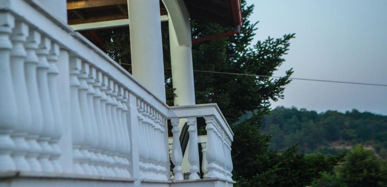 Villa Paradisos Likostomon Екстериор снимка