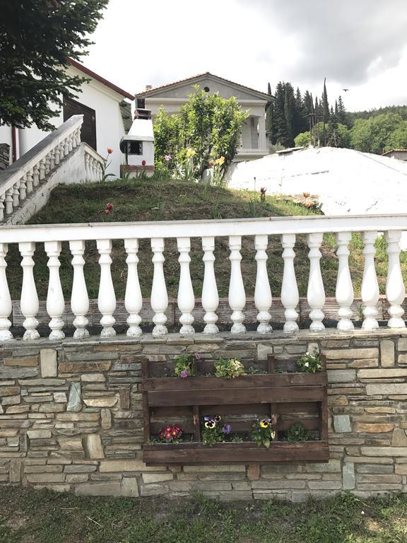 Villa Paradisos Likostomon Екстериор снимка